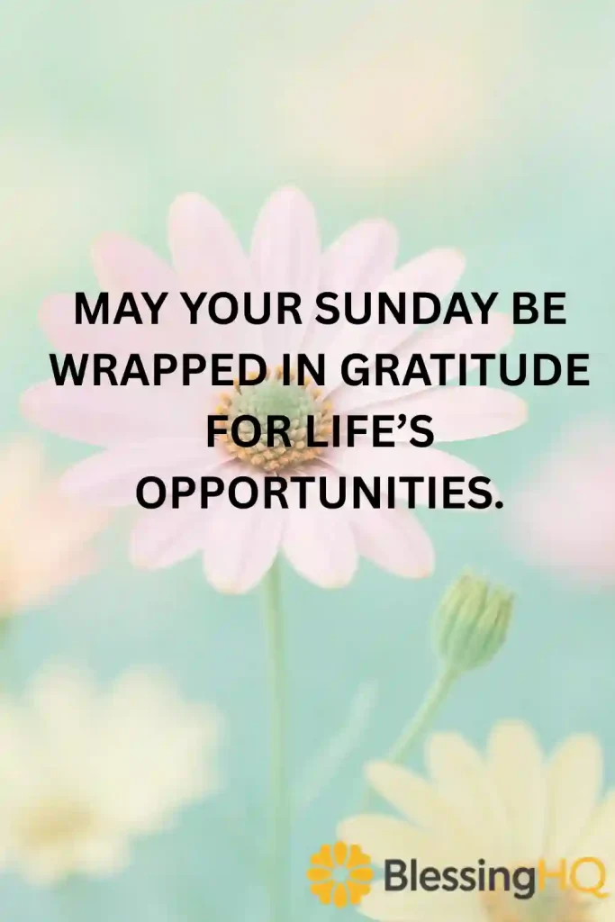 Thankful Sunday Blessings